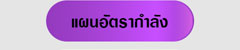 แผนอัตรากำลัง